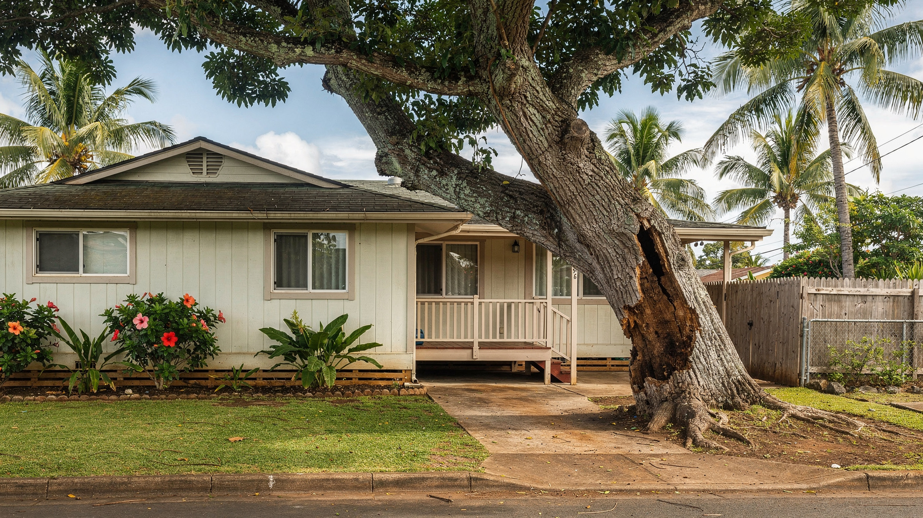 Hazardous Tree Removal in Honolulu
